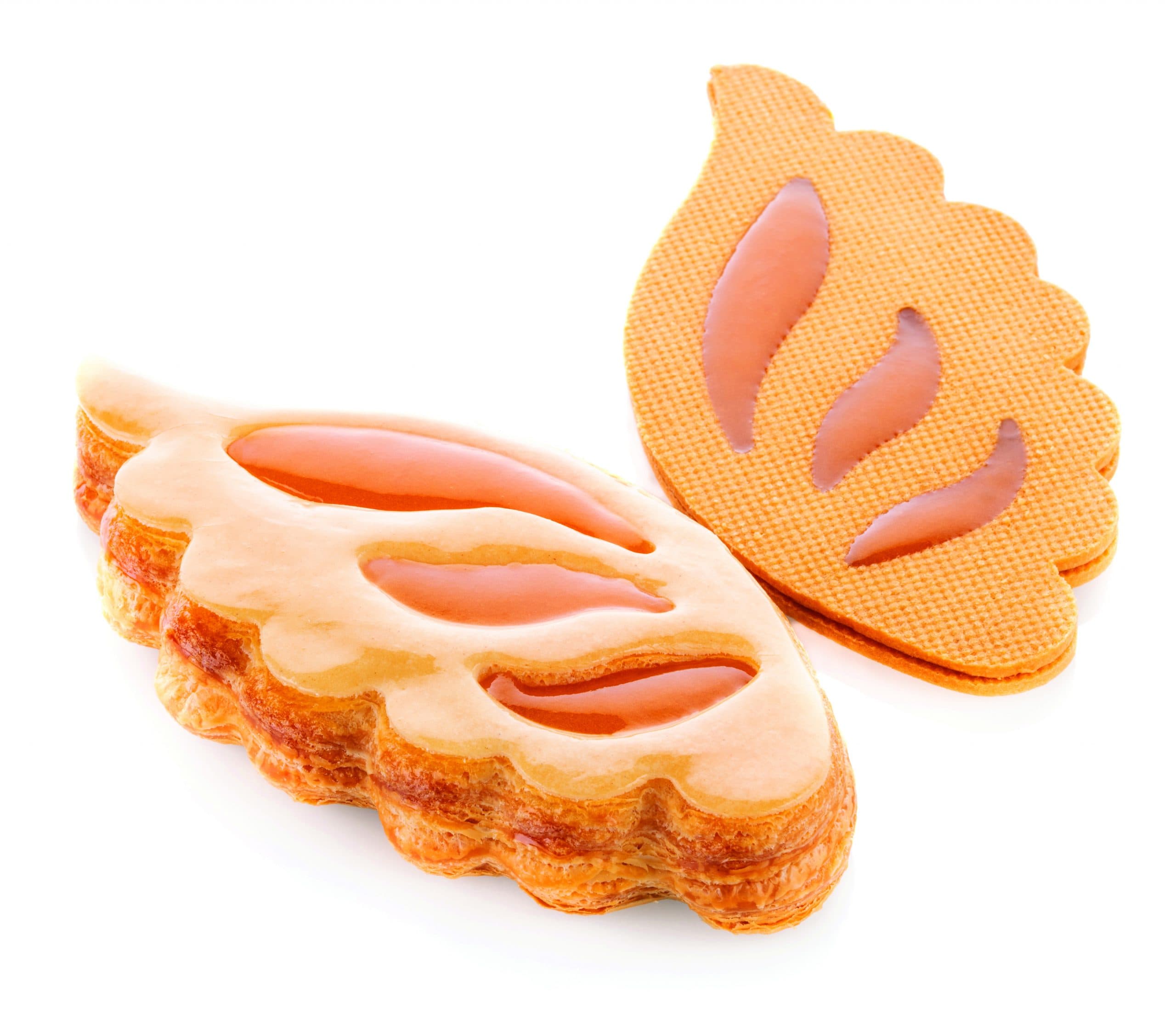 MOULE AILE SILIKOMART PROFESSIONNEL COMPOSITE THERMOPLUS