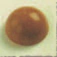 PLAQUE PATE DE FRUIT MODELE \"DEMI SPHERE\" - Image 2