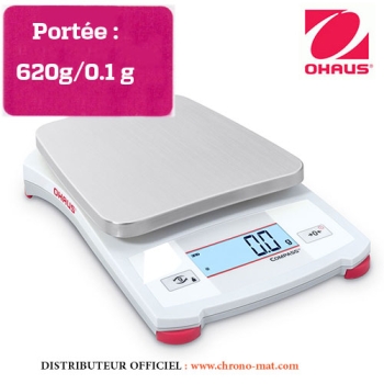 BALANCE COMPASS PORTABLE - Portée 620 grammes 