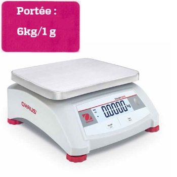 BALANCE COMPACTE DE  COMPTOIR - Portée 6 kg