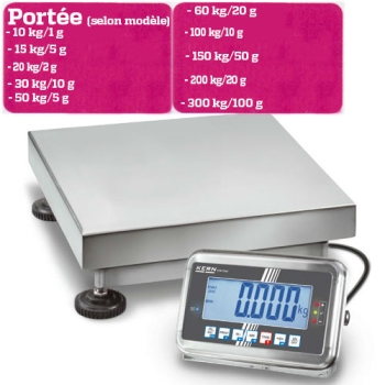 BALANCE PLATE FORME - PORTEE 10 A 300 KG selon modèle