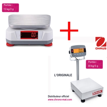 LOT BALANCE LABORATOIRE + BALANCE A COLONNE