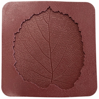 KIT MAE PROFESSIONNEL FEUILLE NOISETIER - GAMME ES-TAMP