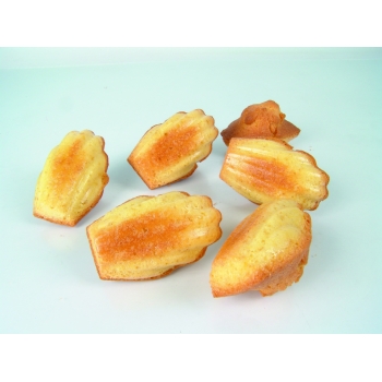 PLAQUE PAVONI PROFESSIONNEL 44 MADELEINES - GAMME PAVOFLEX