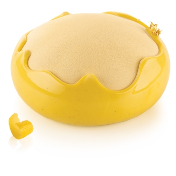 MOULE SILIKOMART PROFESSIONNEL SPLASH