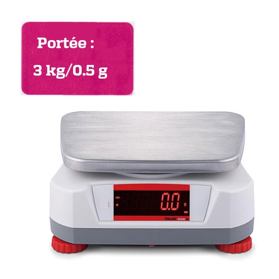 BALANCE COMPACTE - Portée maximale 3 kg