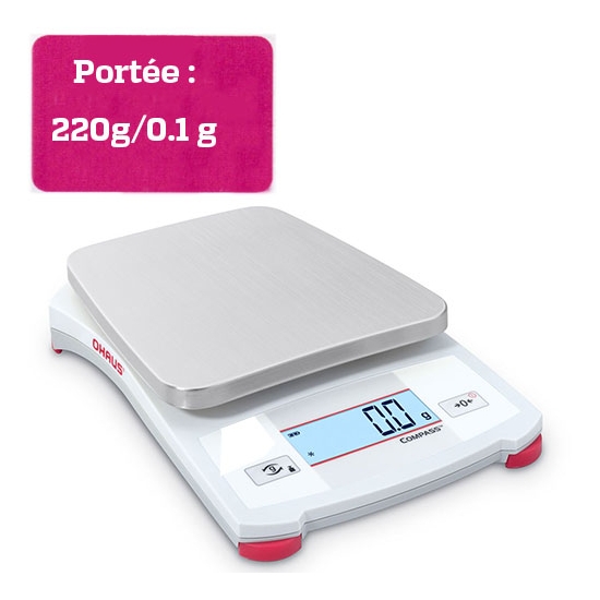 BALANCE PORTABLE COMPASS - Portée 220 g