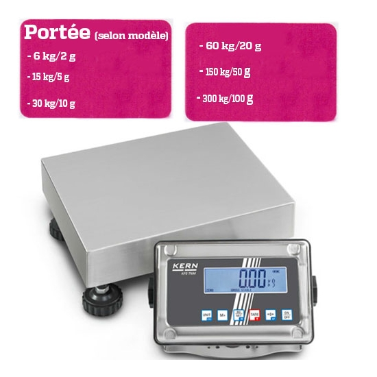 BALANCE PLATE FORME - PORTEE 6 A 300 KG selon modèle