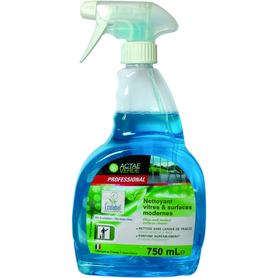 NETTOYANT VITRES MENTHE - PISTOLET 750 ML