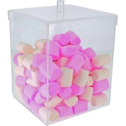 COFFRET PLEXI AVEC  COUVERCLE COIFFANT